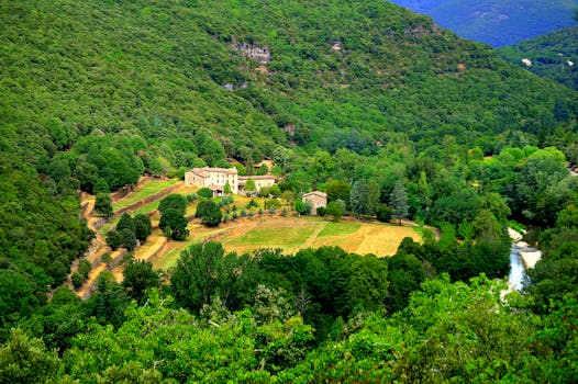 在法国奥西塔尼岛的托伊拉斯，郁郁葱葱的乡村景观捕捉了自然美景与宁静