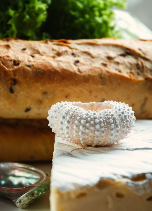 Free Close-up of a rustic baguette and sea urchin shell on a textured surface. Stock Photo