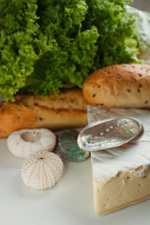 Free Still life of baguette, Brie cheese, leafy lettuce, and seashells creating a fresh, organic food setting. Stock Photo