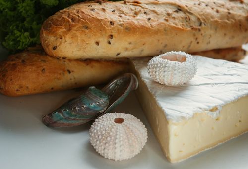 Free Close-up of artisanal bread, gourmet cheese, and sea shells on a rustic table. Stock Photo