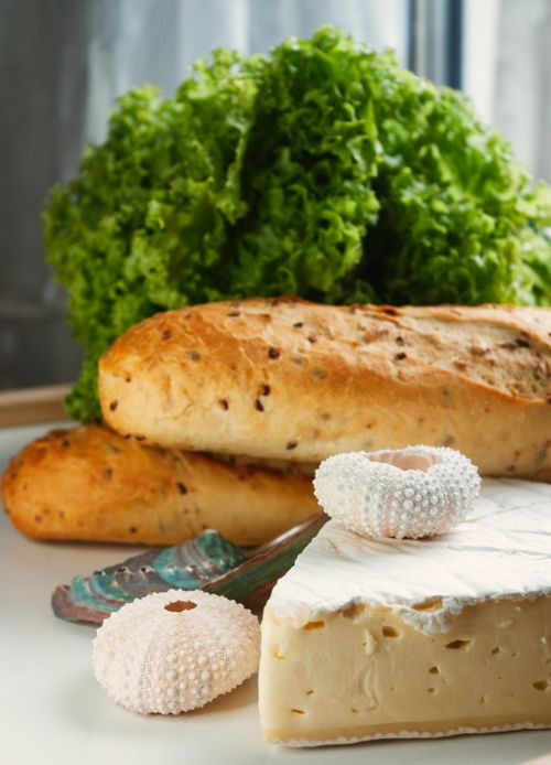 Free A still life composition featuring bread, camembert cheese, lettuce, and sea urchin skeletons. Stock Photo
