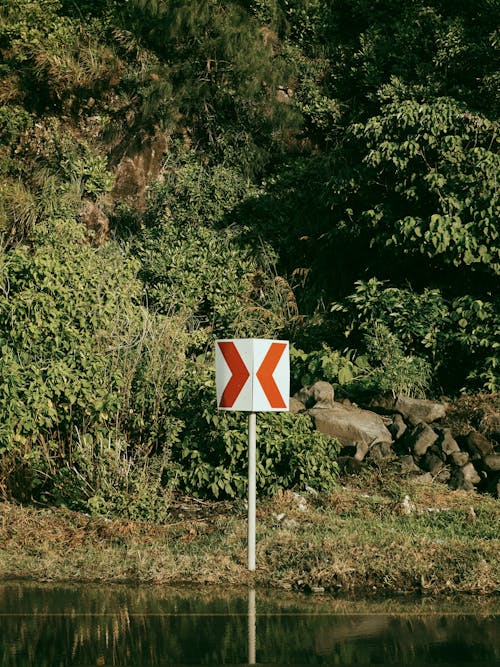 A Directional Signage Near the Lake