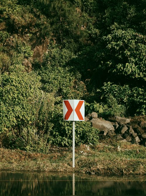 Free A directional sign stands by a lake surrounded by dense green foliage and rocks, captured outdoors during the day. Stock Photo