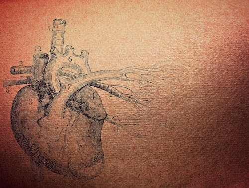Imagine de stoc gratuită din formă de inimă, fundal, vintage