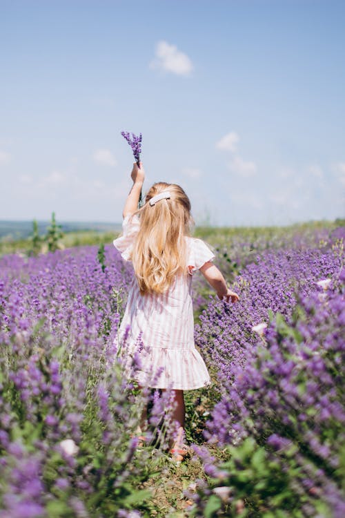 Girl picking up Lavender Flowers