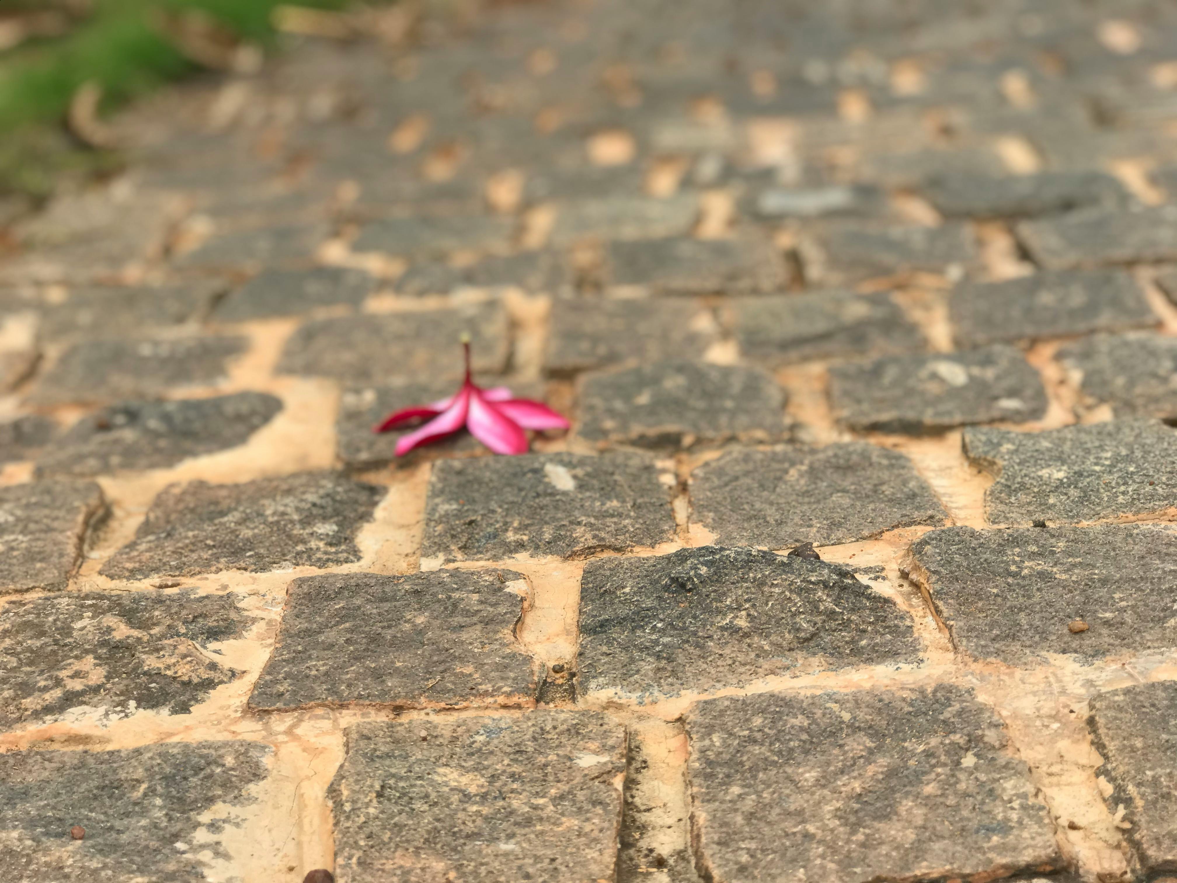 光線與環境影響示意