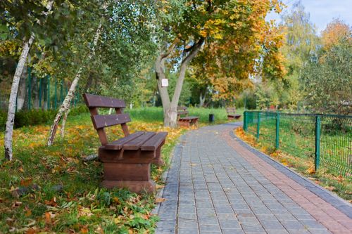 Free Peaceful park scene with benches, pathway, and colorful autumn trees. Stock Photo