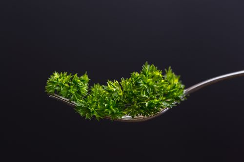 Free Macro shot of green parsley resting on a fork against a dark background. Ideal for culinary concepts. Stock Photo