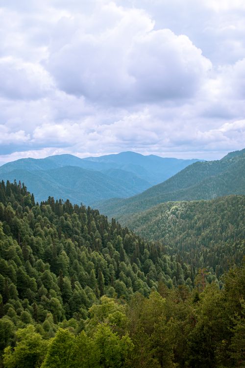 Free Explore the breathtaking mountainous landscape in Bolu, Türkiye, showcasing lush green forests and dramatic clouds. Stock Photo