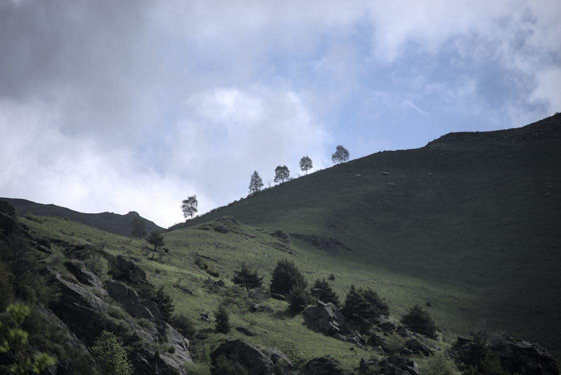 Безкоштовне стокове фото на тему «блакитне небо, гори, дерева»