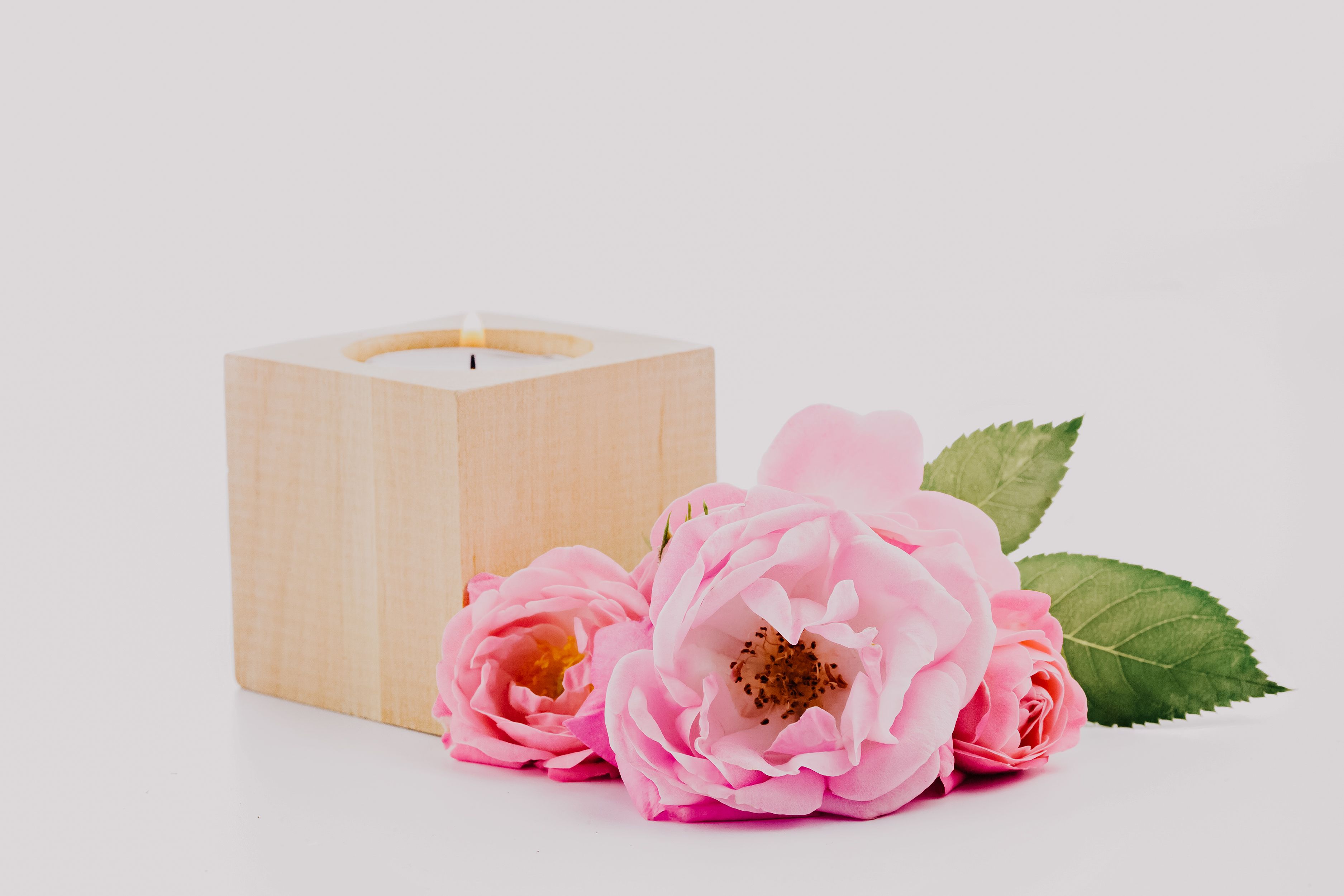 Delicate pink roses and a candle on a white background offer a serene and elegant visual.