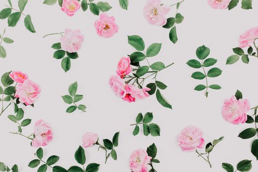 Aesthetic floral pattern featuring pink roses with green leaves on a white background, perfect for a fresh and stylish design.