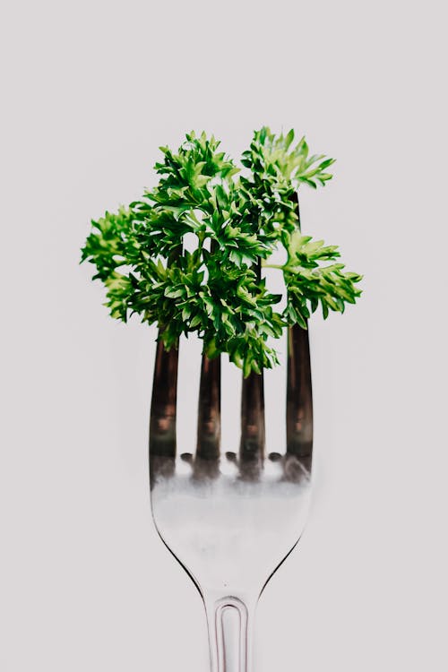 Free Green Leaves on a Fork  Stock Photo