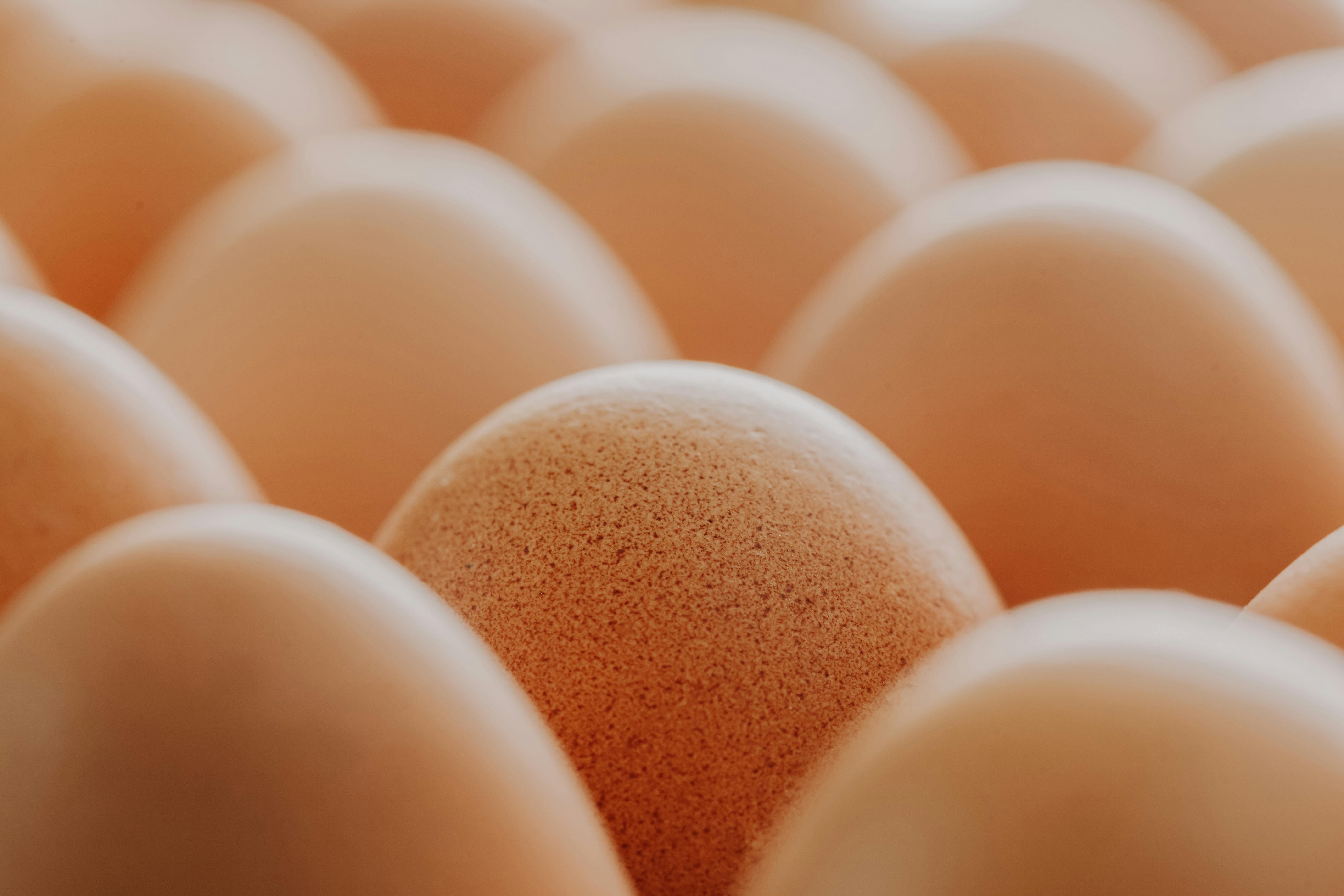 High-quality close-up image capturing brown eggs with detailed textures and natural colors.