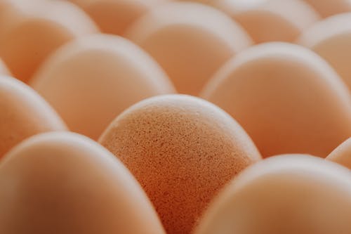 Free Close-up Photo of Brown Organic Eggs Stock Photo