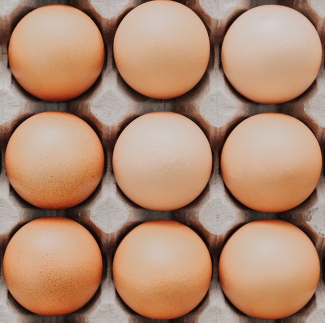 Fuentes de proteína: huevos, pollo, pescado