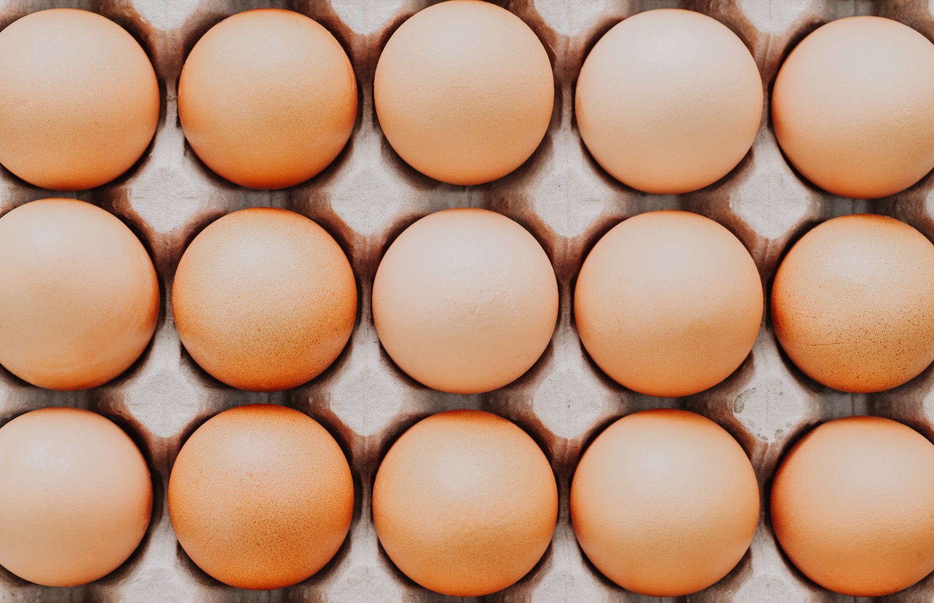 Brown Eggs on an Egg Tray