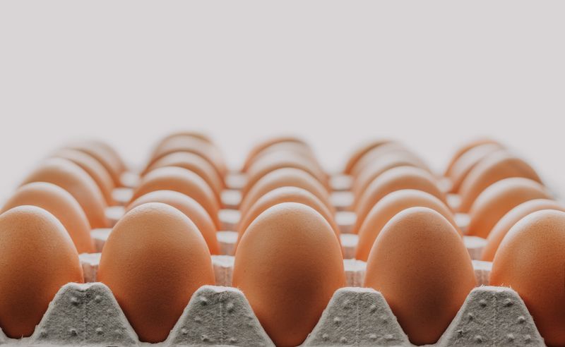 Eggs Tray (30 pcs)
