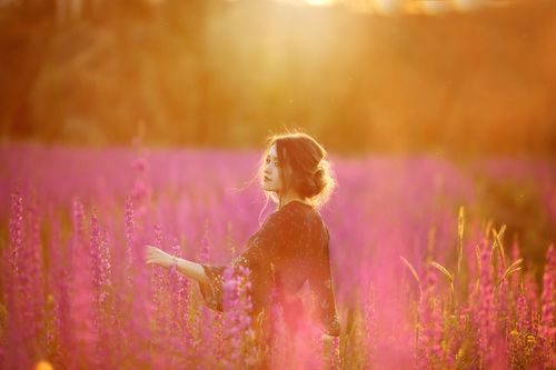 Free A woman walks through a vivid flower field at sunset, creating an elegant and dreamy scene. Stock Photo