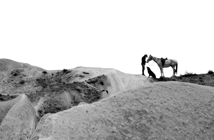 Horse Rider In Cowboy Hat With Dog And Horse In Rocky Terrain