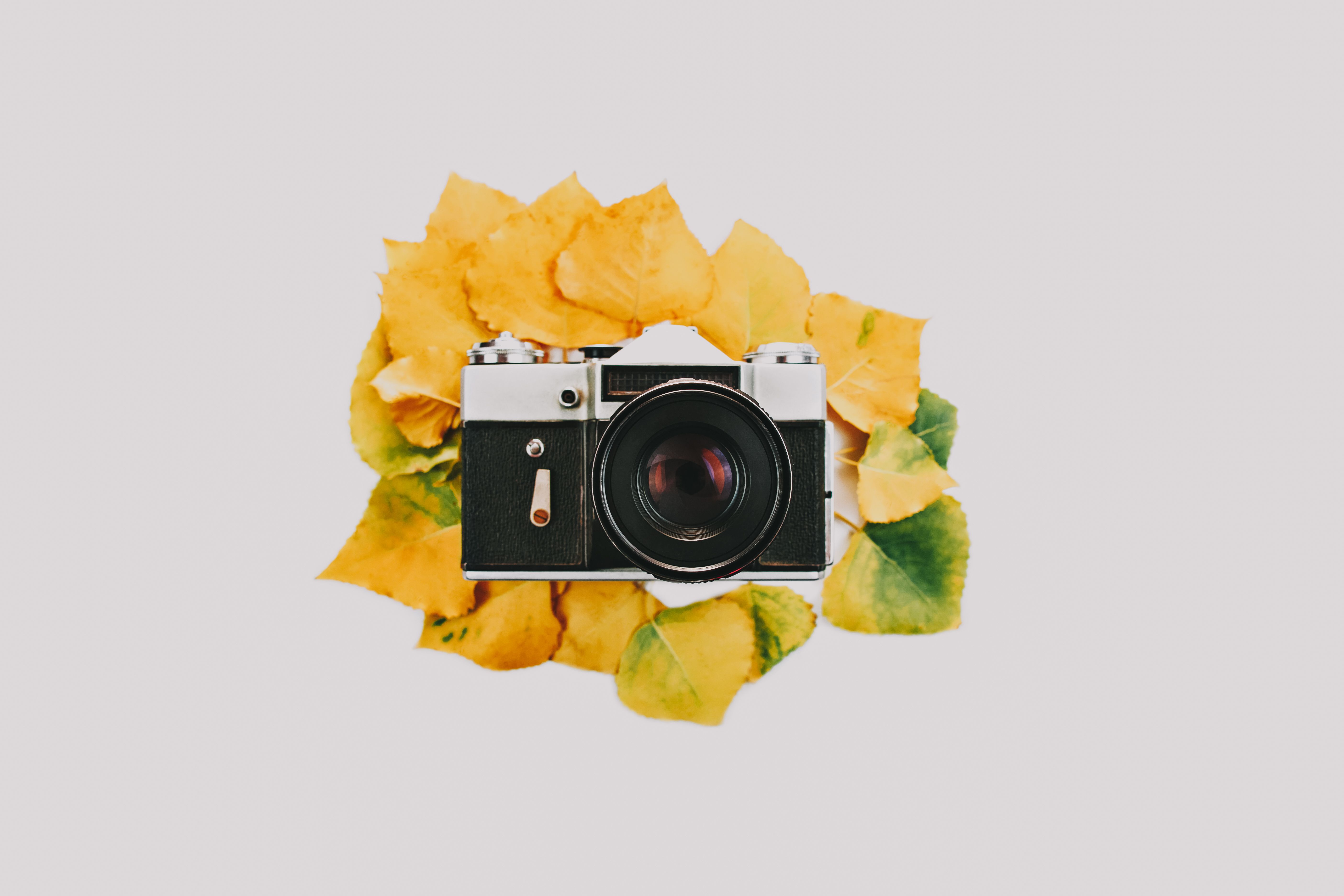 Retro camera surrounded by yellow autumn leaves on a white background.