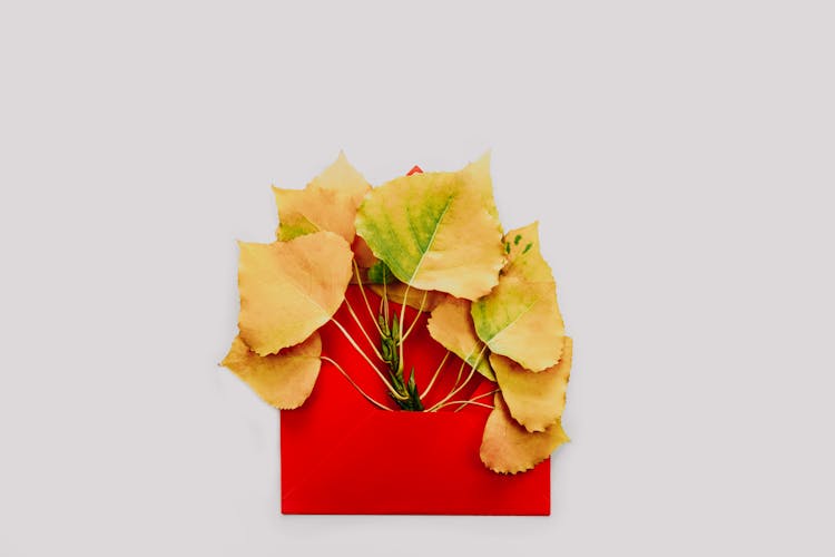 Graphic Composition Of Red Envelope And Yellow Leaves