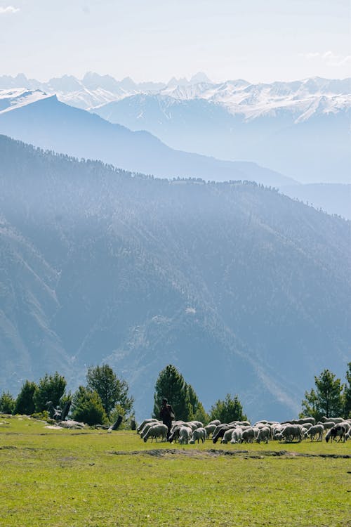 Бесплатное стоковое фото с 2020 обои, Альпийский, вид на горы