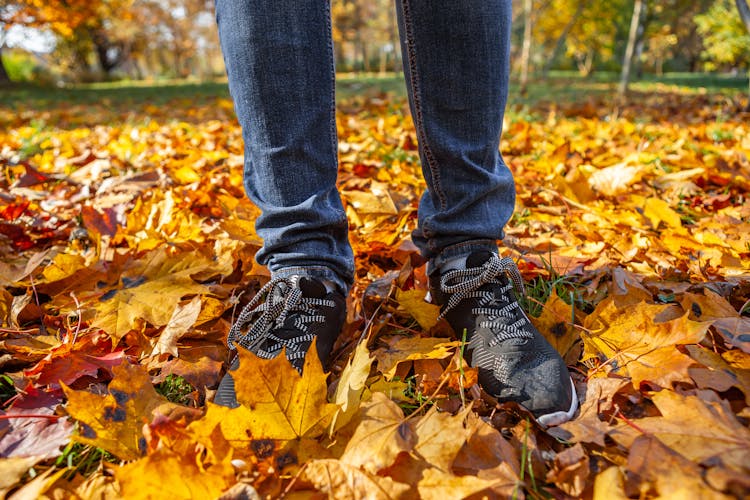 Person Stepping On Dry Leaves