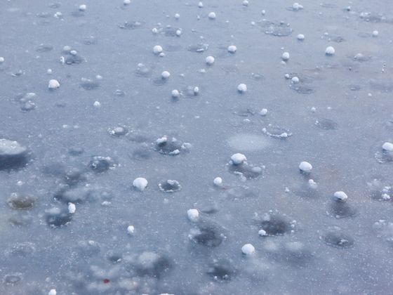 Hailstones scattered across a wet pavement