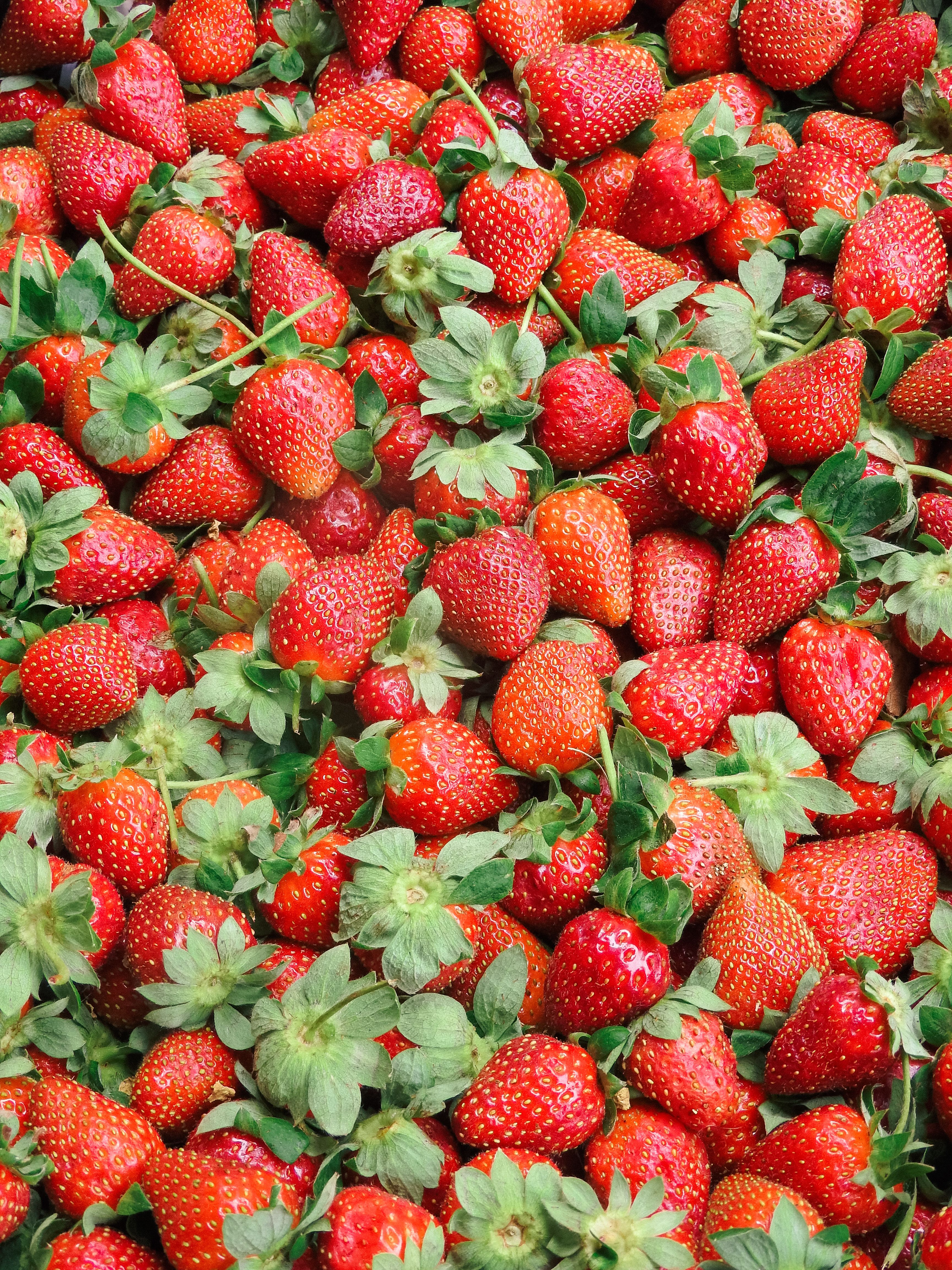 Close-up Photo of Pile of Strawberries · Free Stock Photo