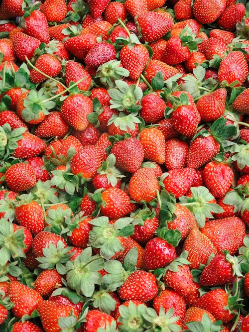 Close-up Photo of Pile of Strawberries