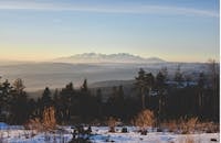 日出时分，白雪皑皑的山脉和森林构成了一幅宁静的冬季景观