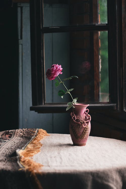 Fotobanka s bezplatnými fotkami na tému kvet, ruža, váza