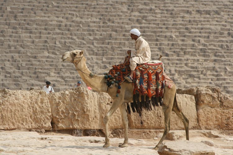 Man In White Hat Riding Camel