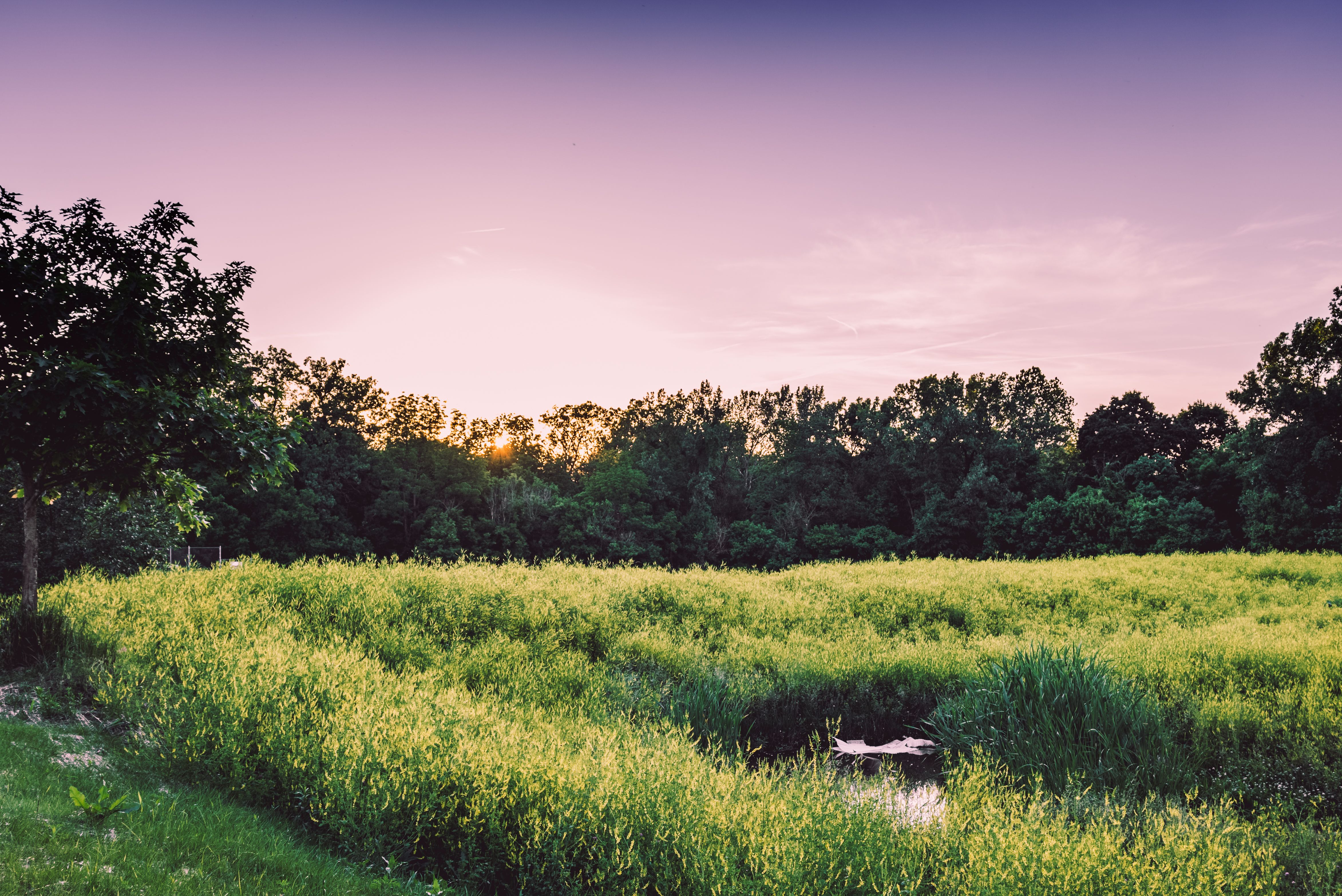 Green Grass Field Under Blue Sky · Free Stock Photo