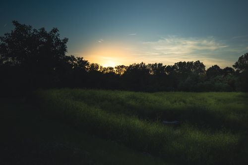 Free Tranquil countryside scene at sunset with vibrant sky and lush greenery in silhouette. Stock Photo