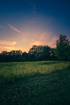 Peaceful evening scene capturing a tranquil sunset over an expansive field bordered by trees.