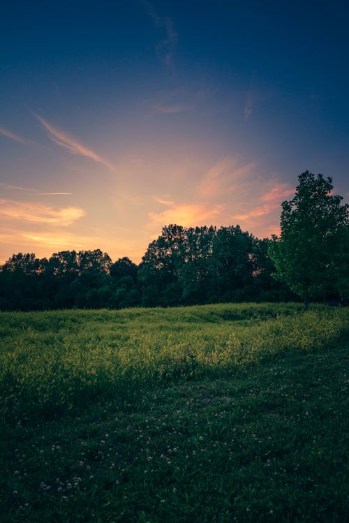 Free Peaceful evening scene capturing a tranquil sunset over an expansive field bordered by trees. Stock Photo