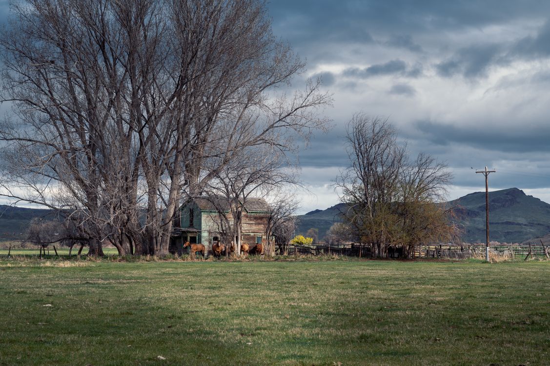 Old farmhouse beside bare trees with mountains and cloudy sky behind