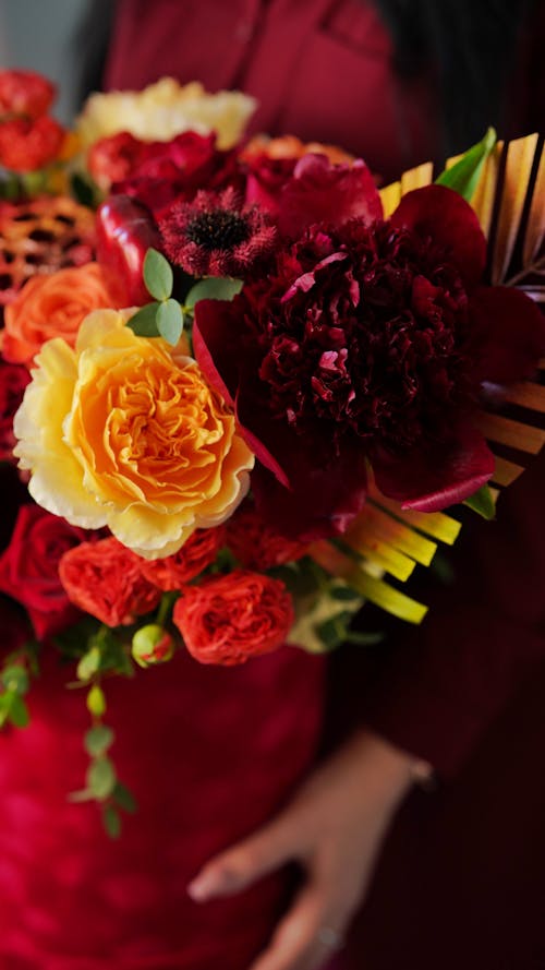 Free Close-up Photo of Red and Yellow Flower Bouquet Stock Photo