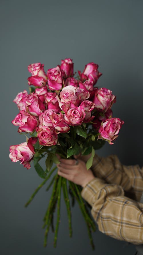 Gratis Fotos de stock gratuitas de floreciente, fotografía de flores, frescura Foto de stock