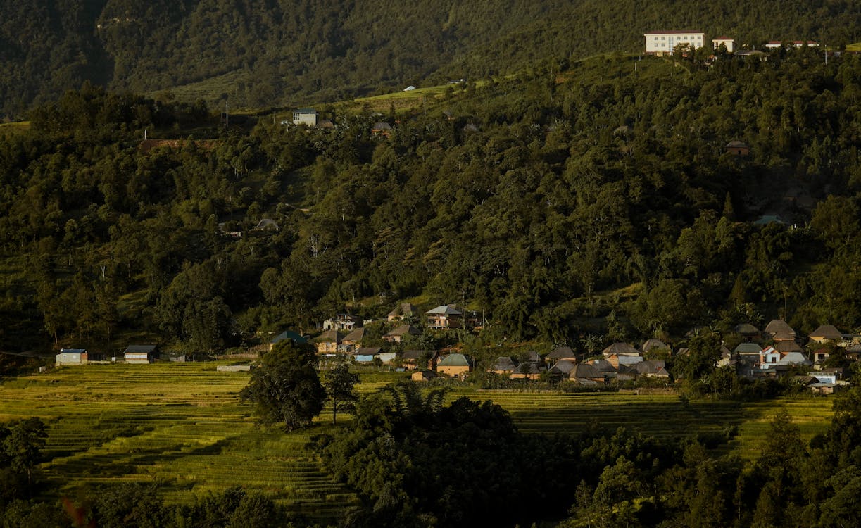 Houses on Green Grass Field Near Mountain