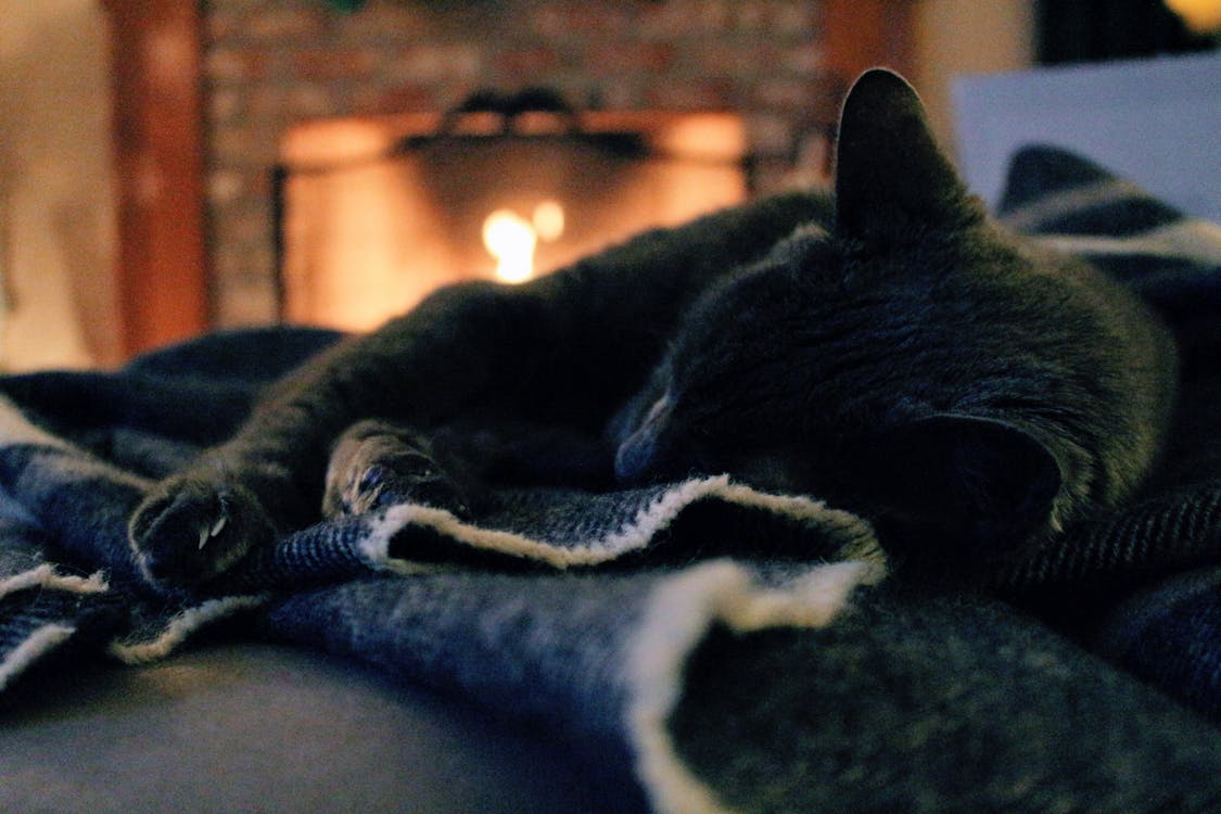 Cat lying on a cloth in front of a fireplace