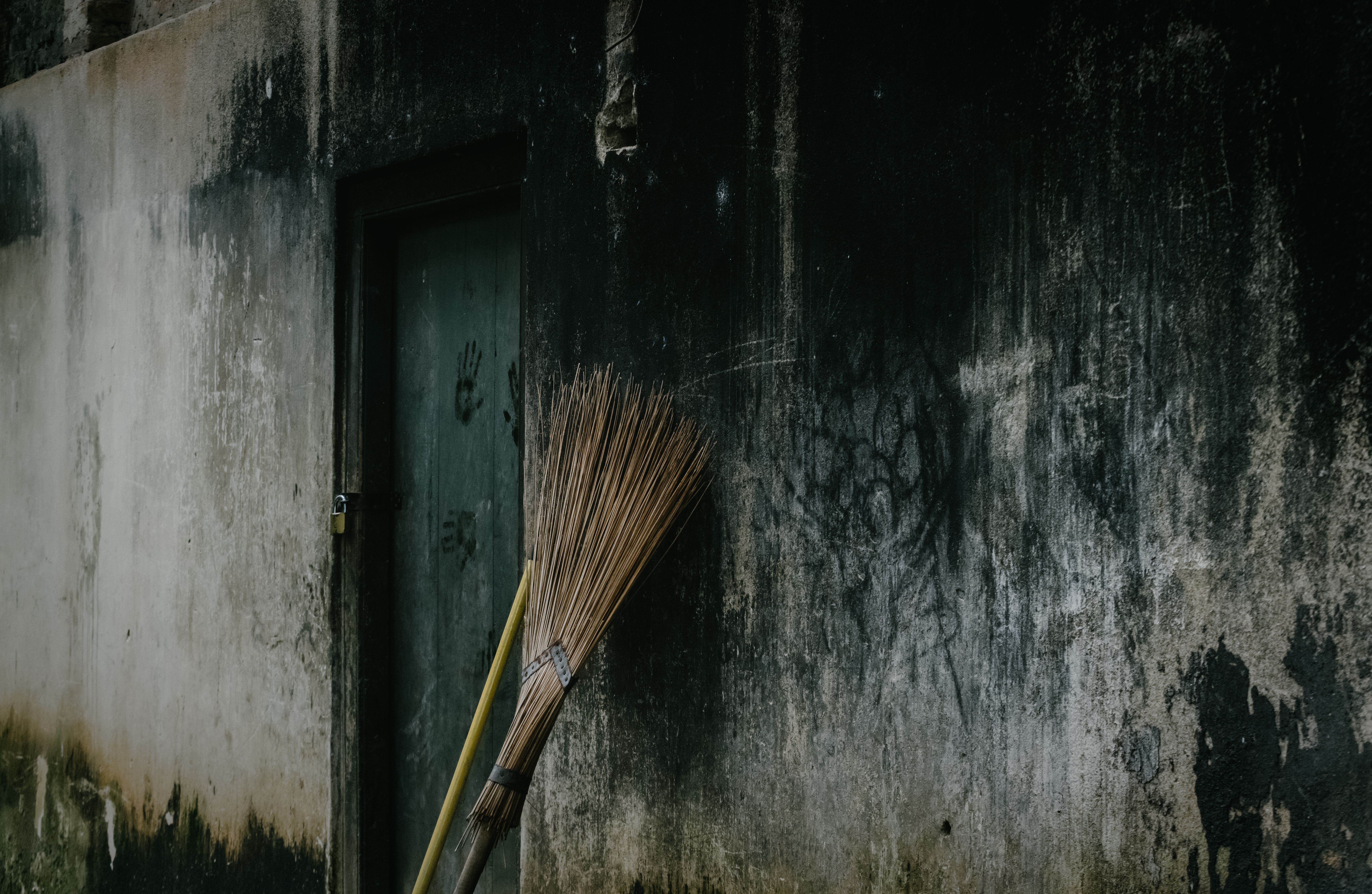 How to Prevent Mold Growth After Flooding in Manhattan KS — image by Nilanka Sampath