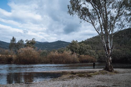 Free Peaceful riverside view with trees and mountains in Victoria, Australia. Stock Photo