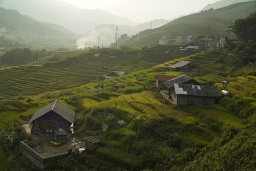 Old Wooden Houses on Green Rice Field