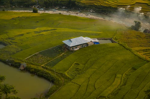 공중 영상, 녹지, 농경지의 무료 스톡 사진