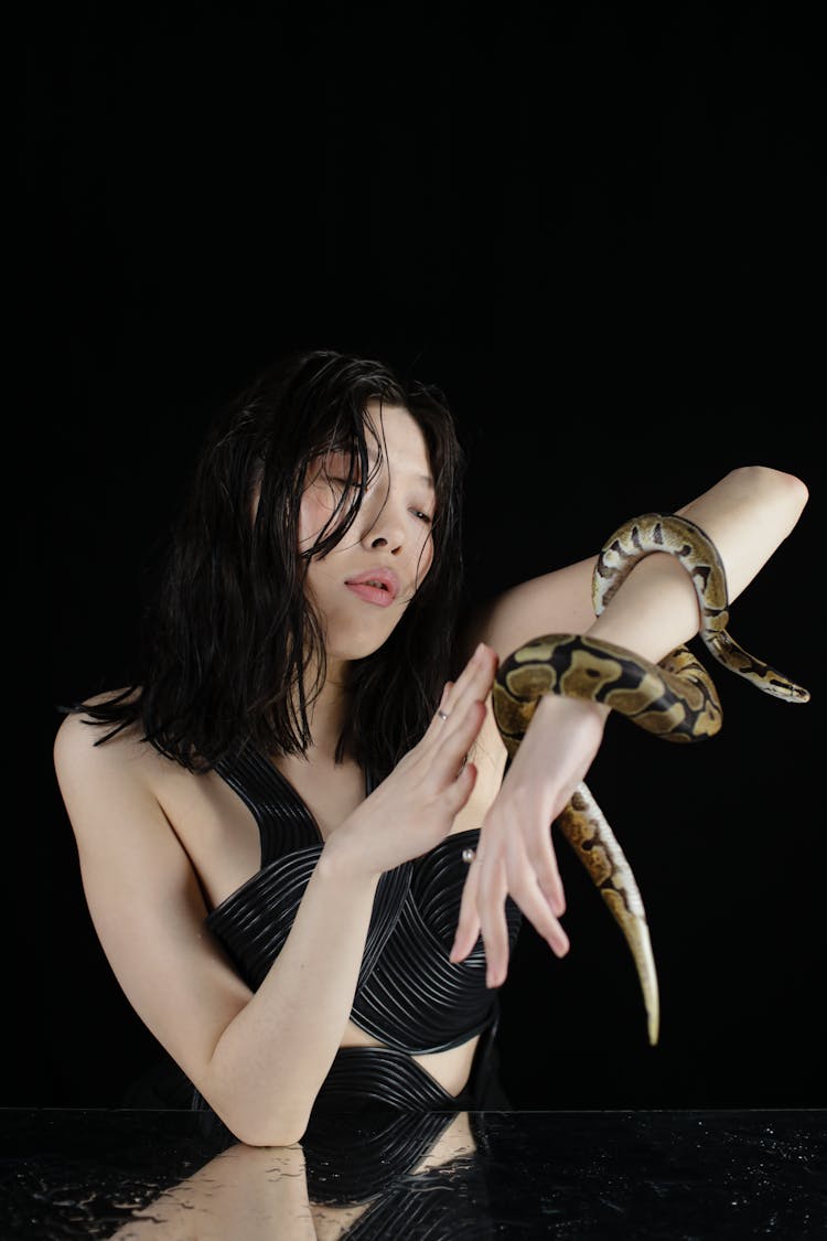 A Snake On The Arm Of A Woman