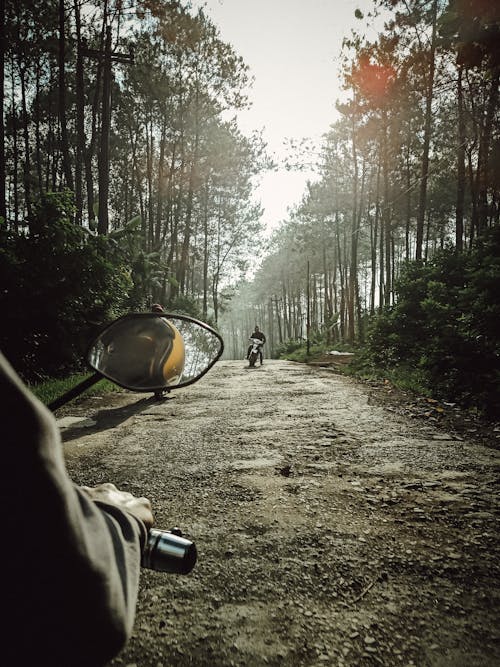 Kostenloses Stock Foto zu bäume, fahrer, feldweg