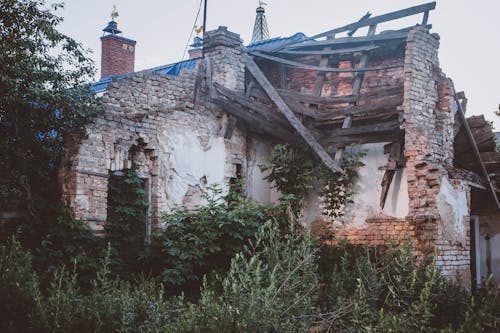レンガ, 家, 廃墟の無料の写真素材